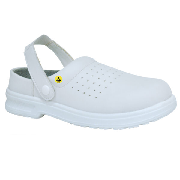 PALOMBE SB AE FO SRC ESD